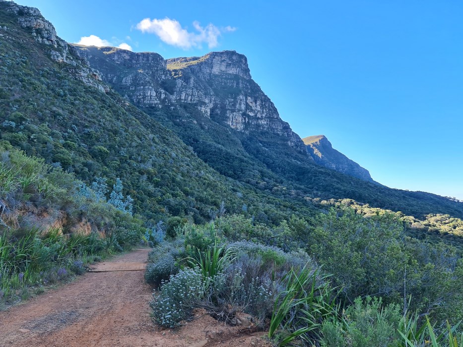 Kirstenbosch Garden under Table Mountain