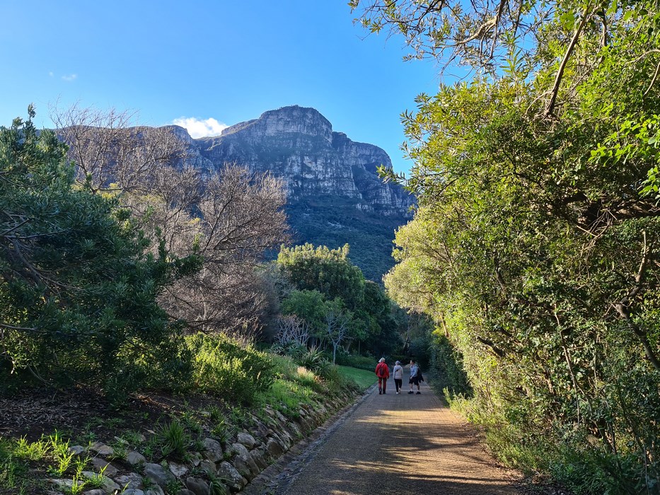 Kirstenbosch Garden