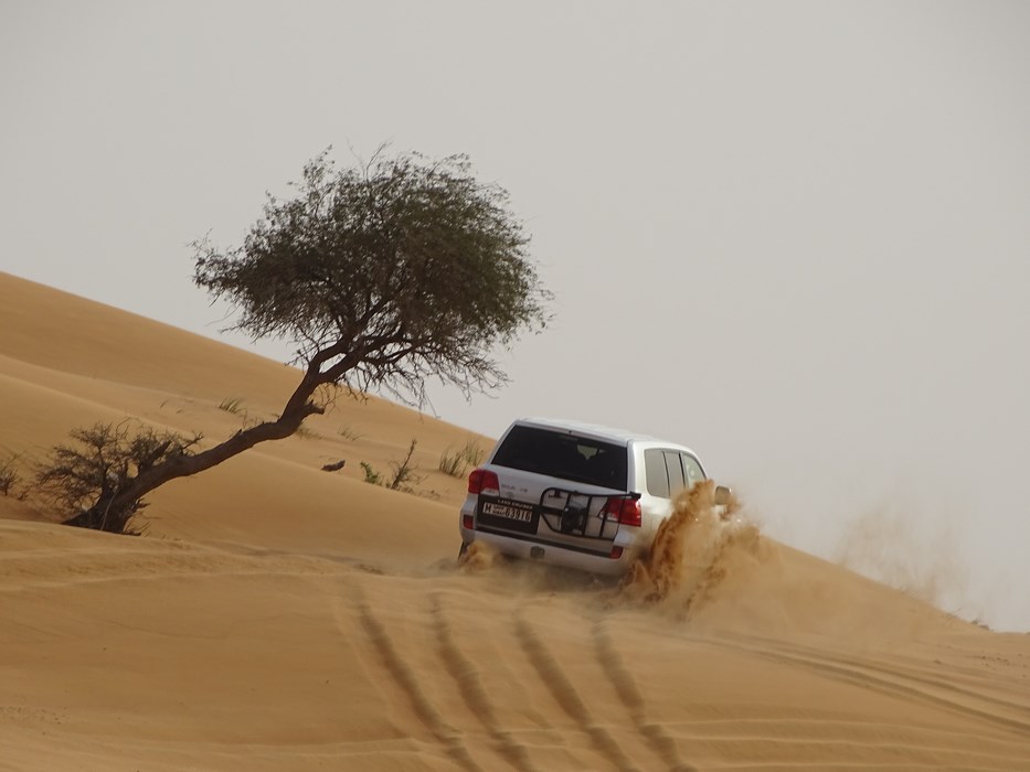 Desert safari