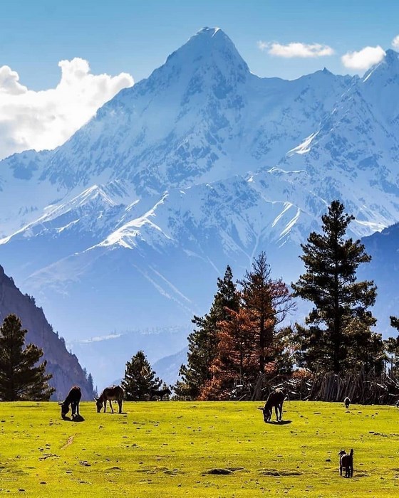 Pakistan