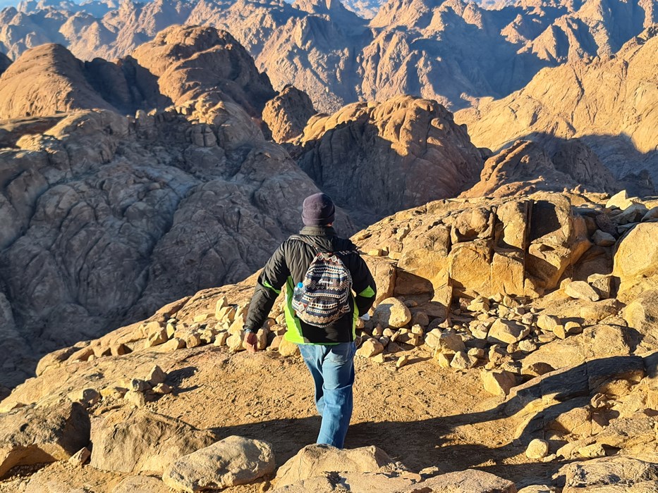 Treeking Sinai mountains