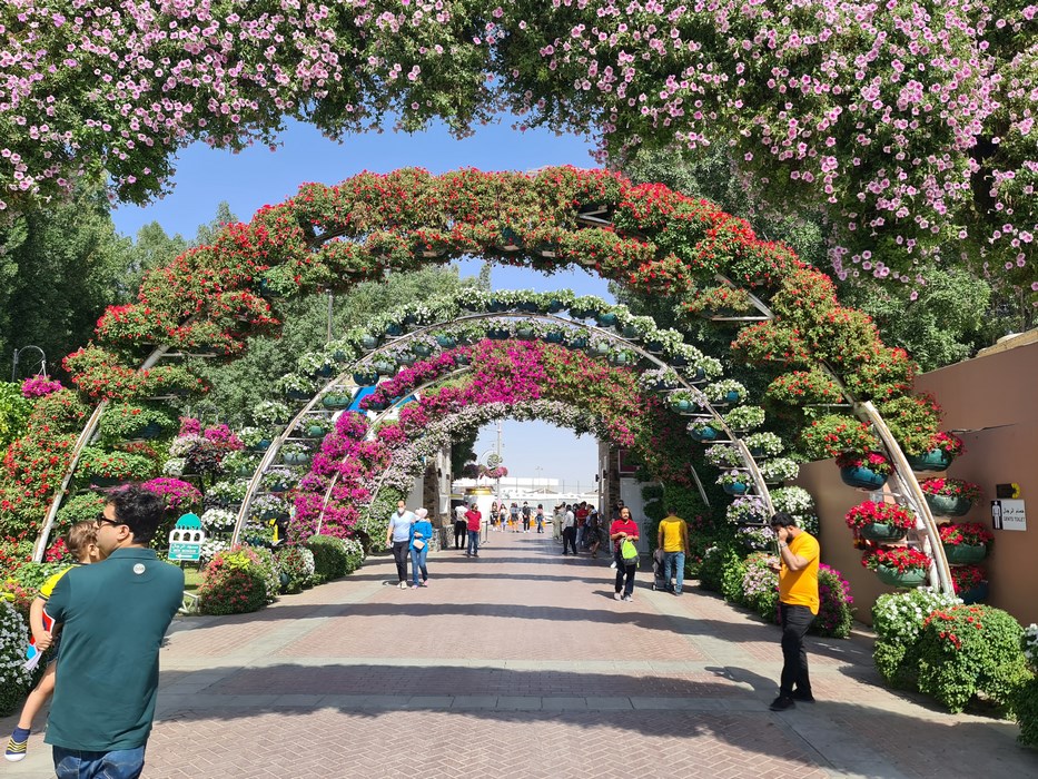 Miracle Garden Dubai