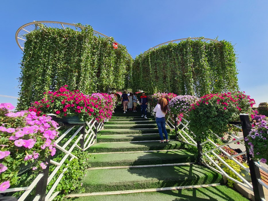 Urcare Miracle Garden