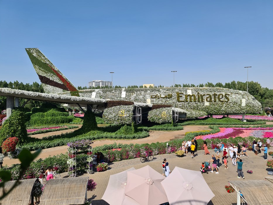 A Miracle Garden