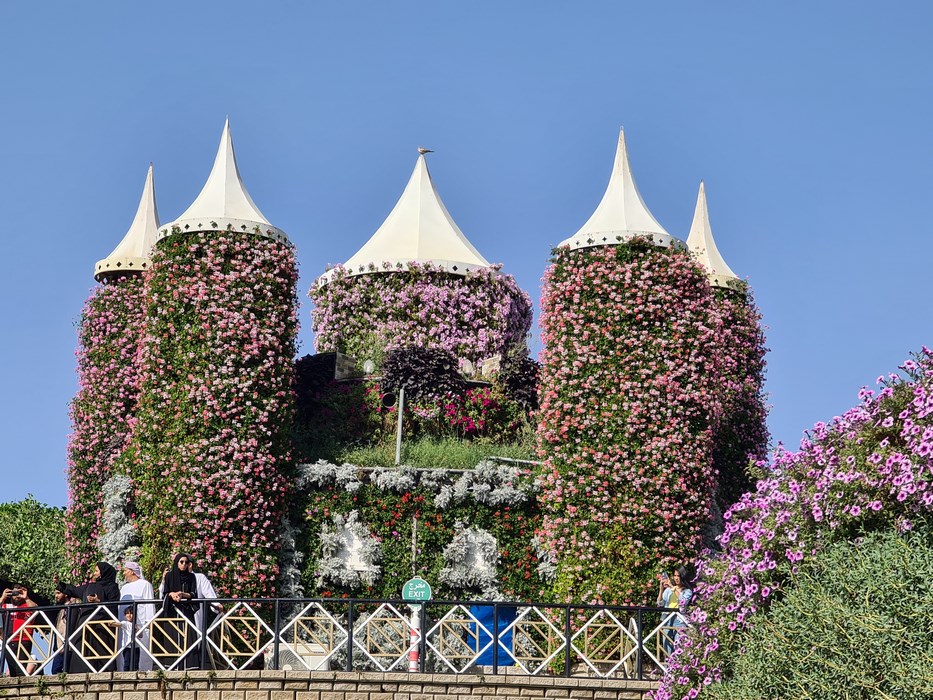 Cetate de flori