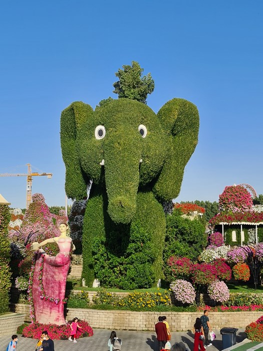 Elefant Miracle Garden
