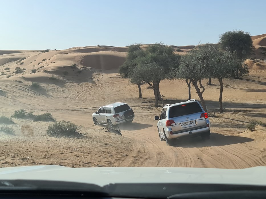 Desert safari Ras al Khaimah