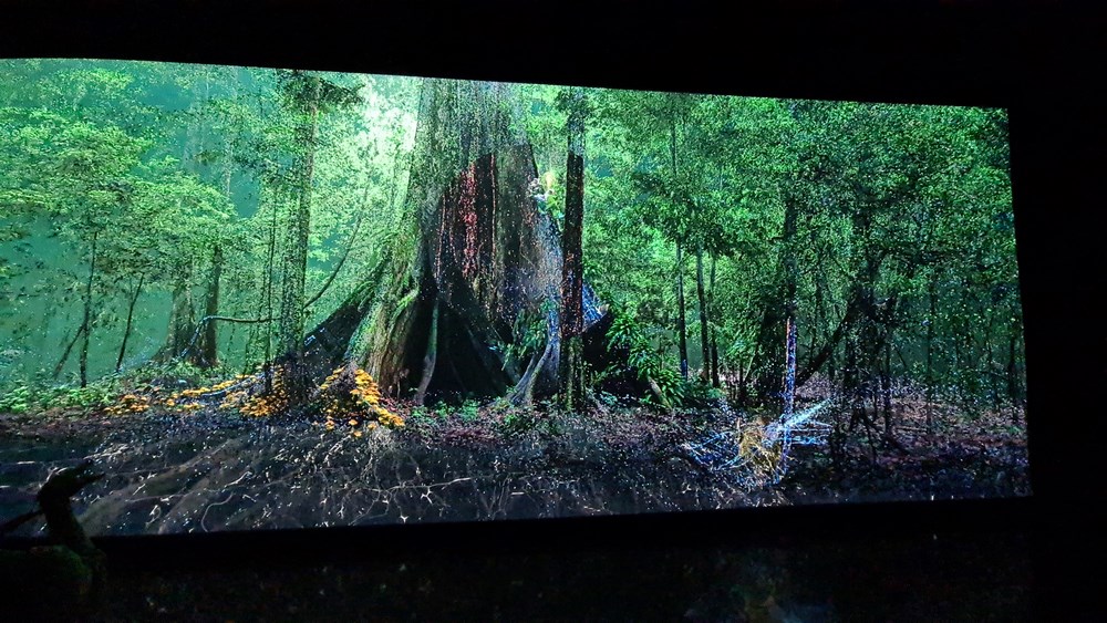 Jungla
