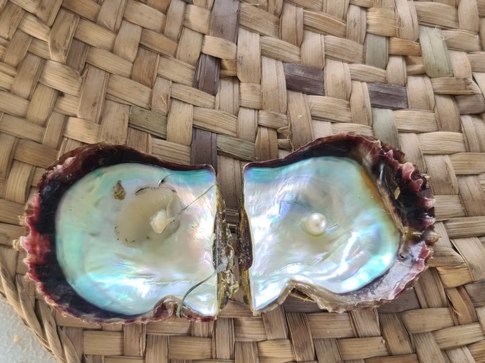 Pearl and mother of pearl