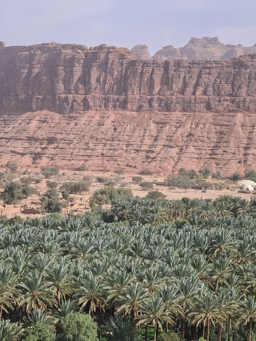 Oaza Al Ula