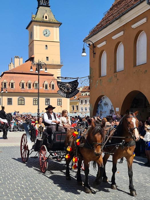 Caruta Brasov