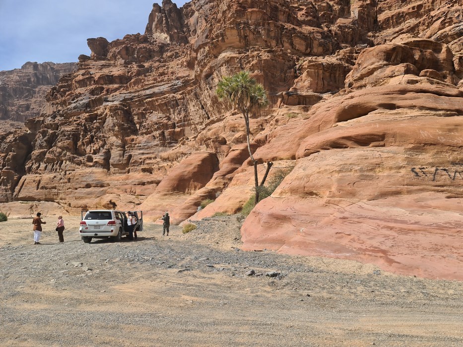 Oprire desert