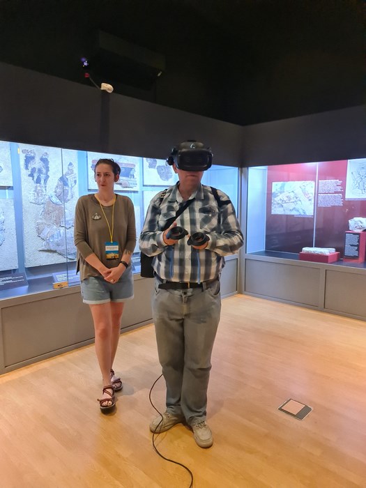 Virtual Reality Ruse