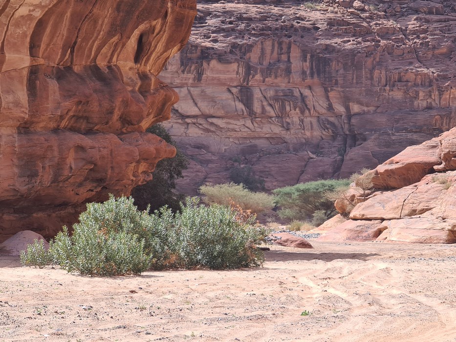 Stop Wadi al Dissa