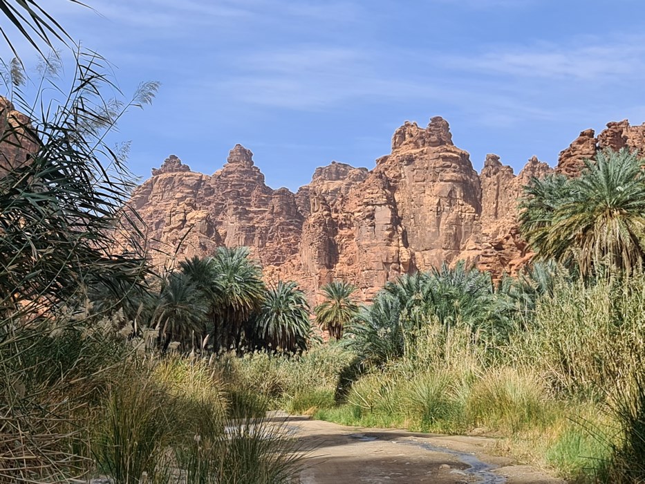Wadi al Dissa Arabia Saudita