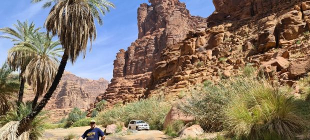 Wadi al Dissa Oasis