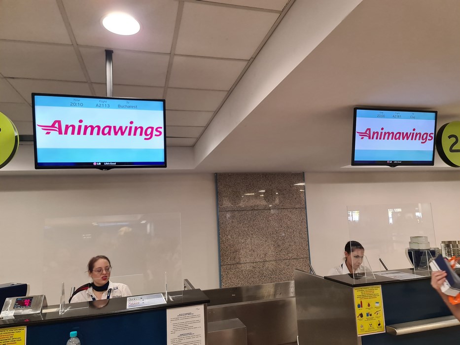 Check in Animawings