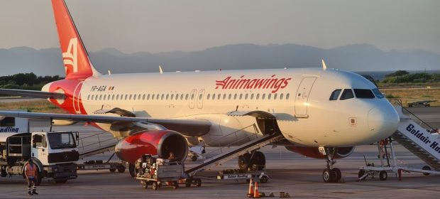 Animawings