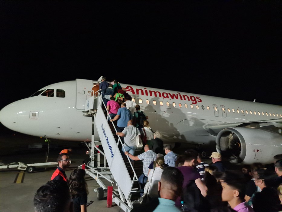 Animawings Bucuresti Rhodos