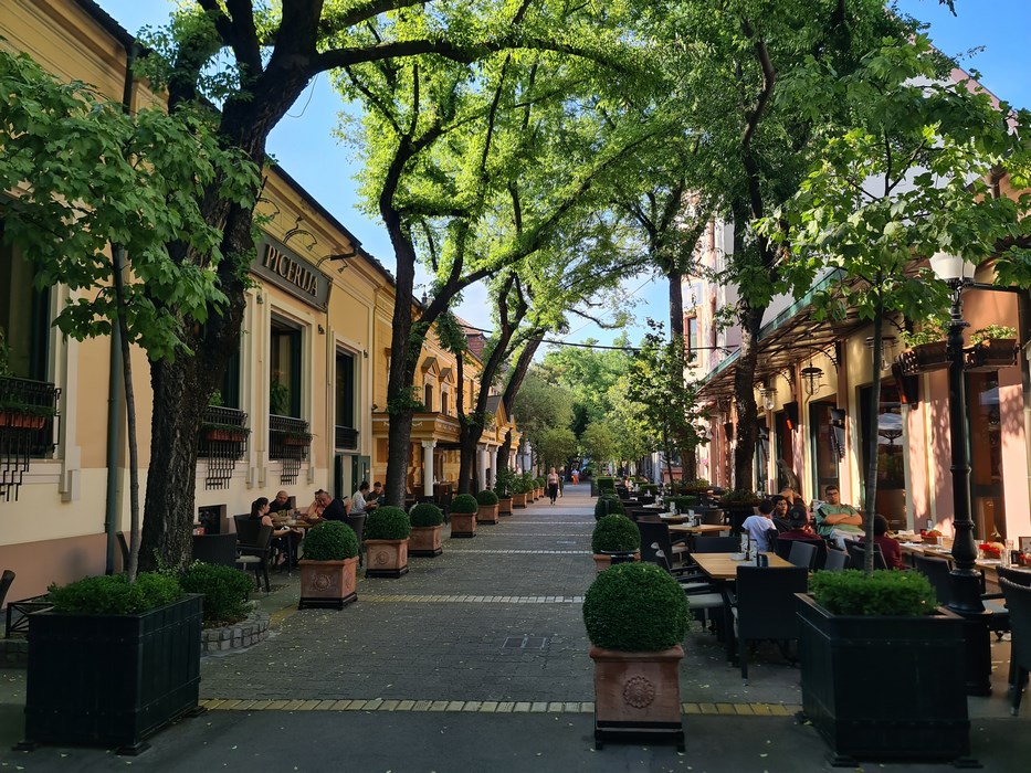 Copaci Subotica