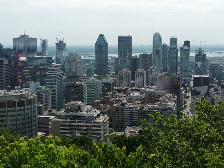 MONTREAL panorama de pe Mont Royal