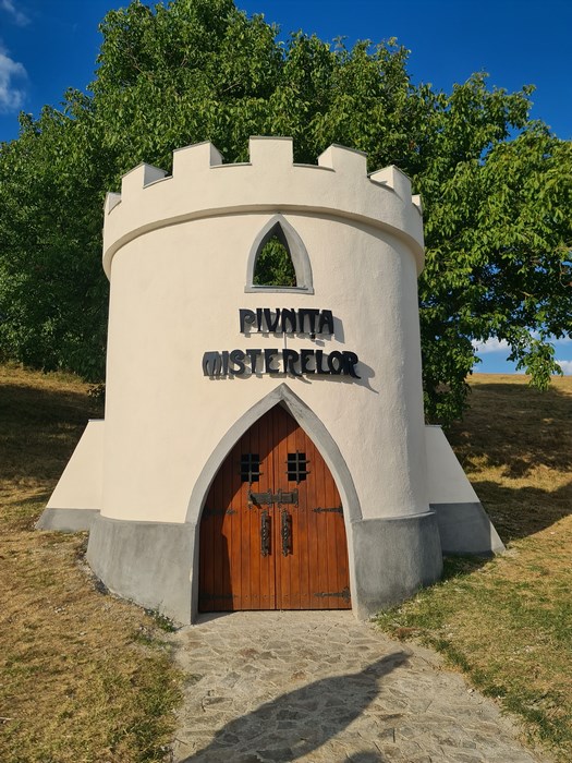 Pivnita misterelor Ardud