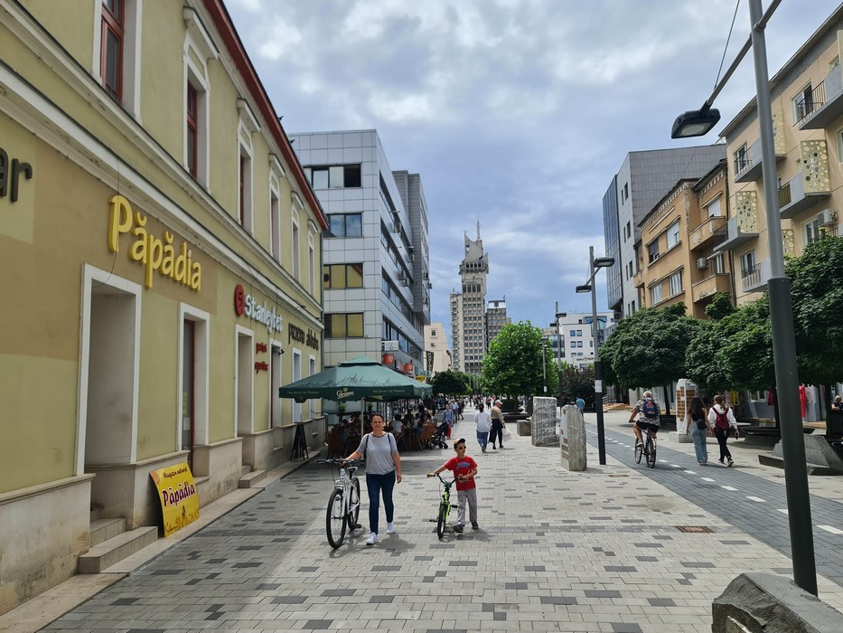 Pietonala Satu Mare