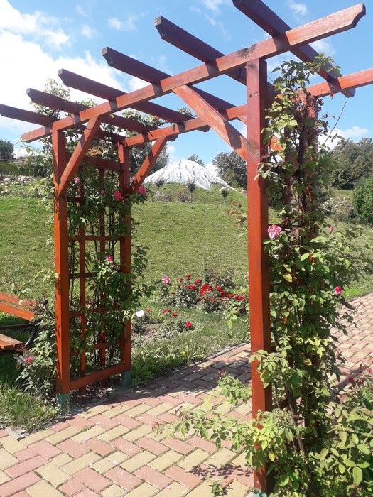 Jibou gradina botanica gradina japoneza Copy