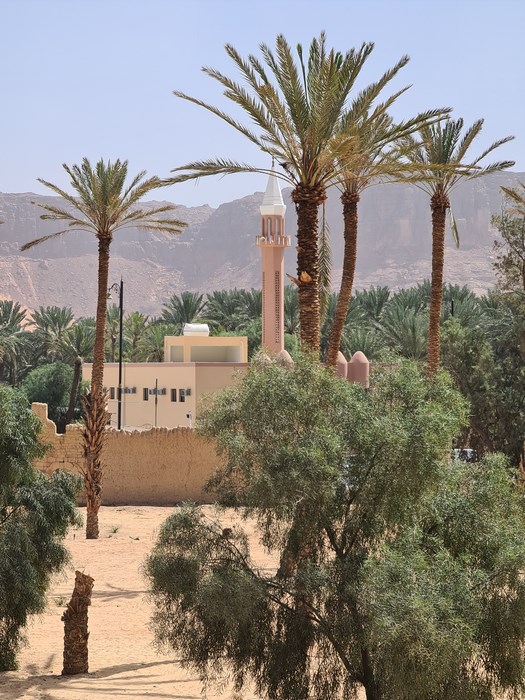 Moschee in oaza