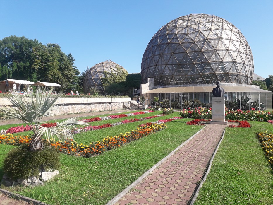 jibou gradina botanica Copy