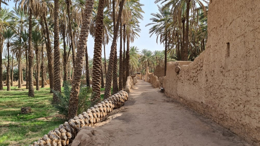 Dadan Heritage Trail Al Ula