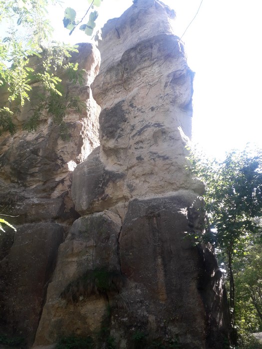 Gradina Zmeilor Salaj Copy