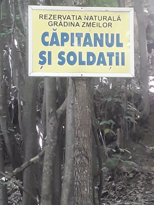 Capitanul si Soldatii Gradina Zmeilor Salaj Copy