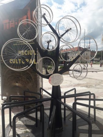 Zalau copacul biciclistului 