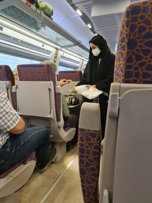 Femeie singura in tren