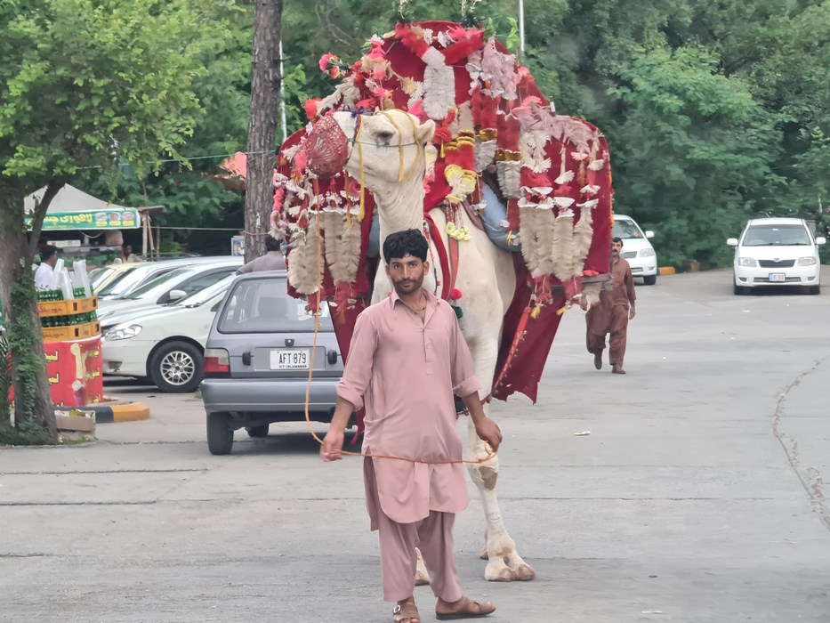 Camila Islamabad