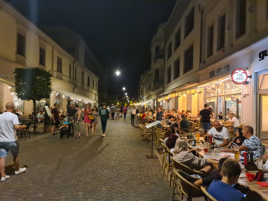 Str Vasile Alecsandri Oradea