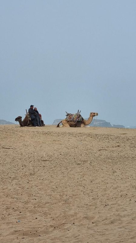Camile Essaouira