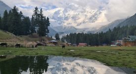 Fairy Meadows Nanga Parbat