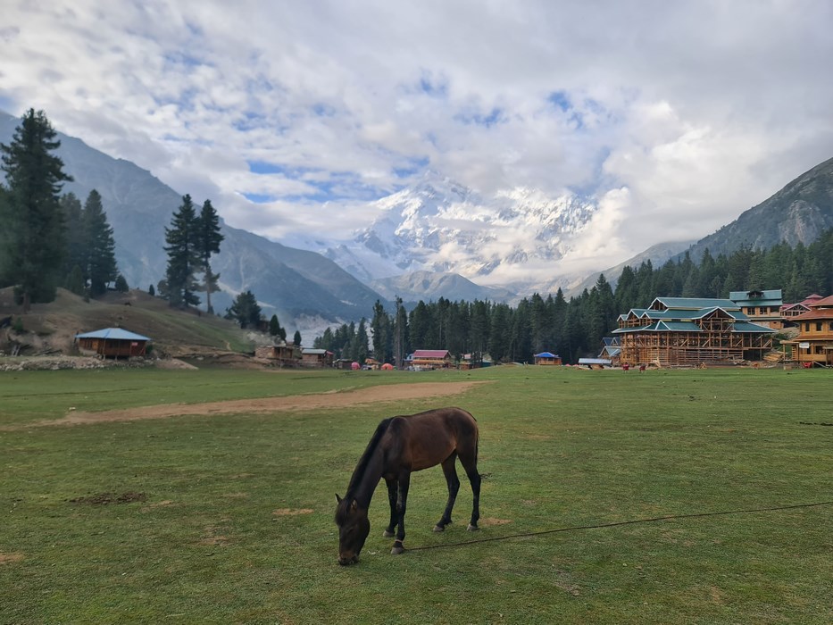 Cal la Fairy Meadows