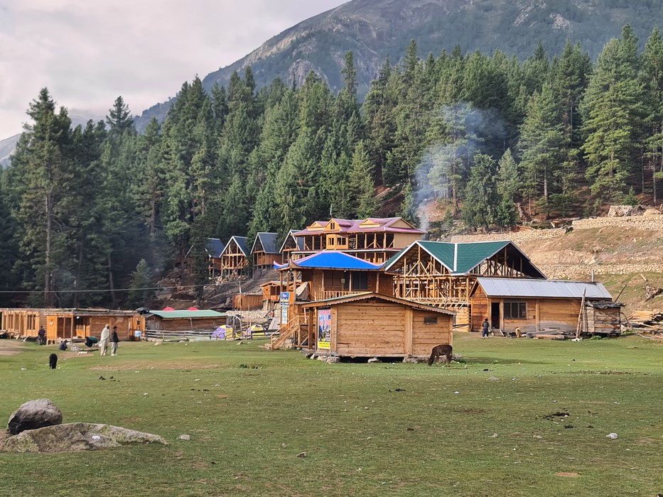 Constructii Fairy Meadows