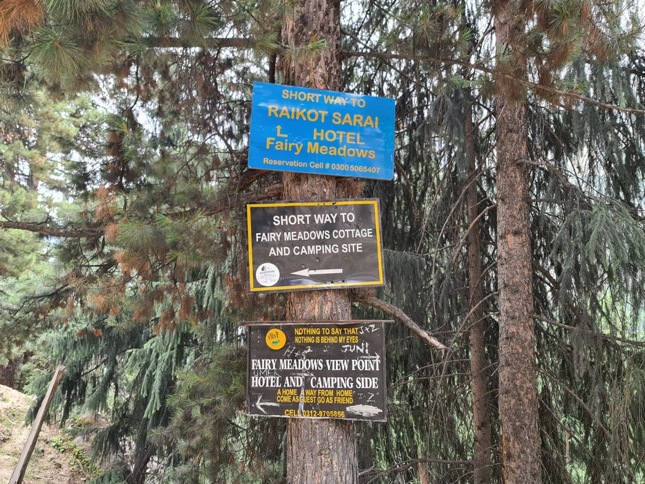 Indicatoare Fairy Meadows