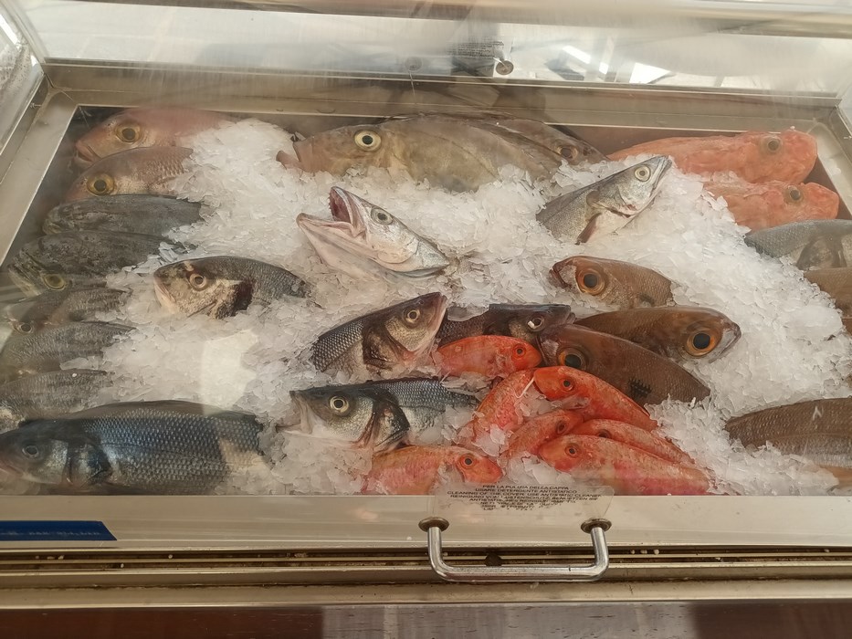 Marsaxlokk peste proaspat