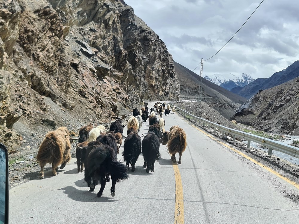 Yaki Pakistan