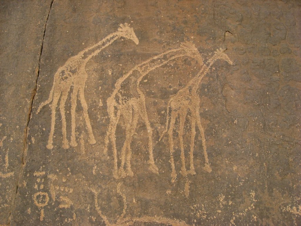 Picturi rupestre Algeria