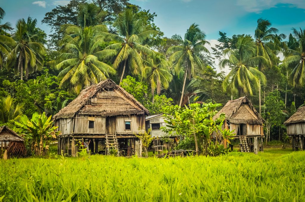 Casa Papaua