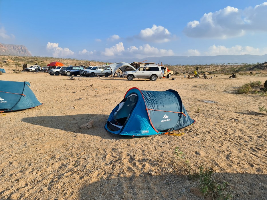 Cort Socotra