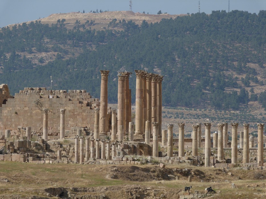 . Coloane Jerash