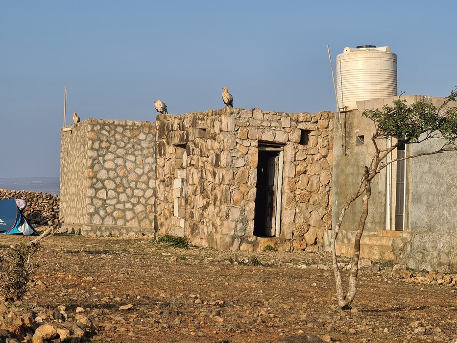 Diksam Plateau Toilet Socotra