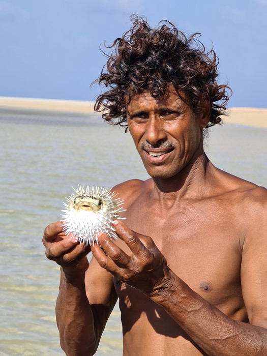 Caveman Socotra